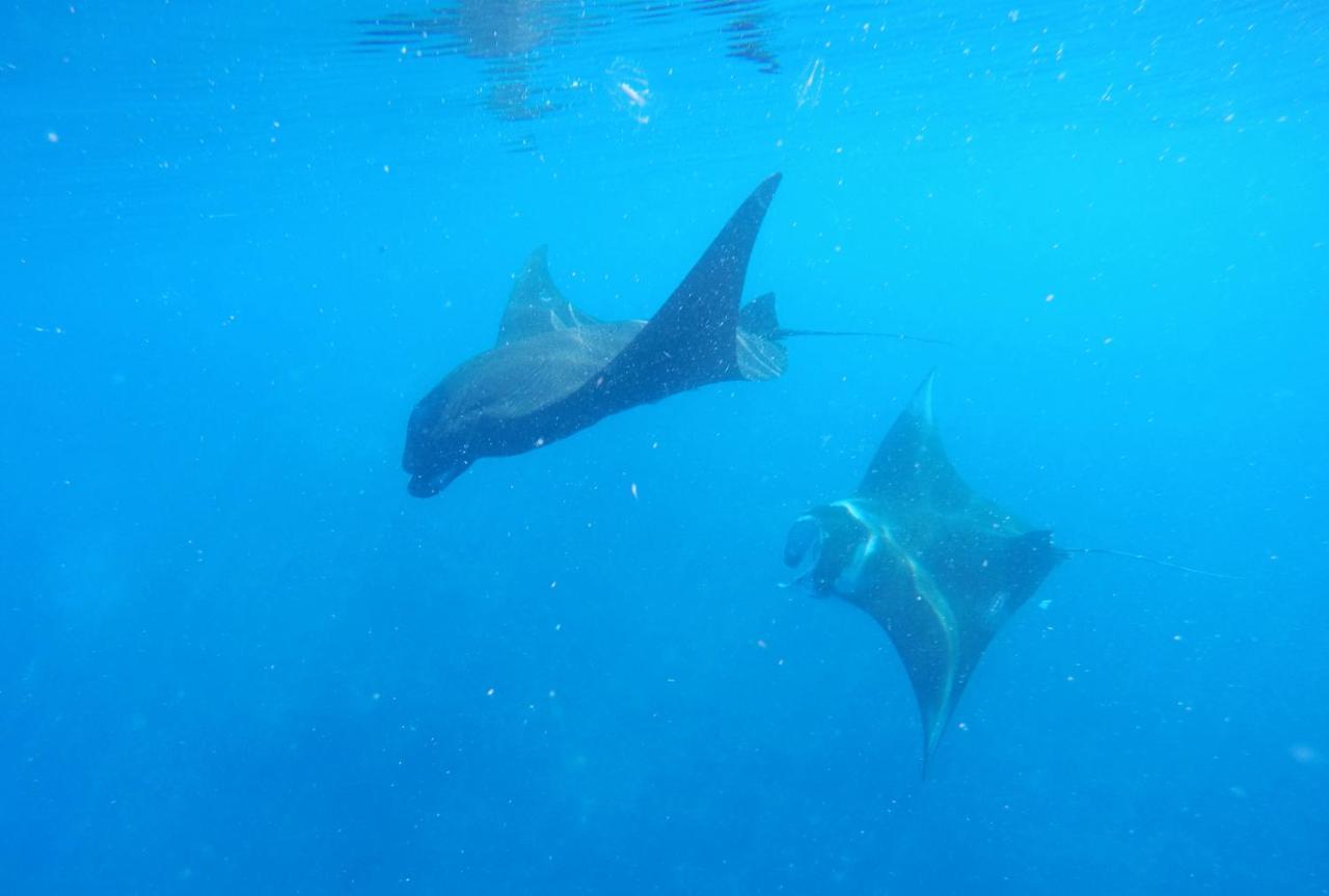 Mambetron Homestay Raja Ampat Pulau Mansuar Kültér fotó